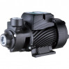 Насос вихревой Pumpman QB 80N