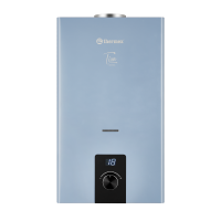 Thermex T 20 D (Silver Grey)