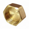 Заглушка 2" в GM007 TIM